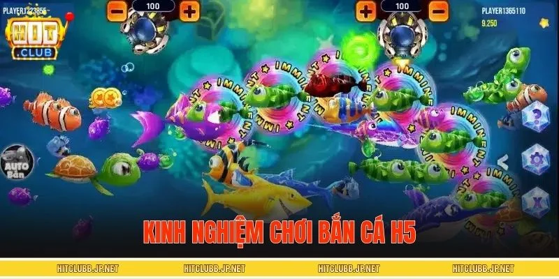 Bí quyết săn cá H5 đạt hiệu quả cao