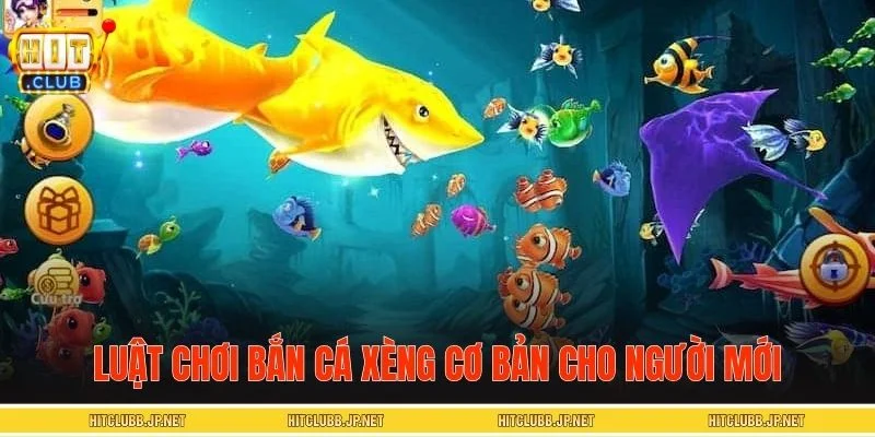 Hiểu rõ luật chơi bắn cá xèng để gia tăng điểm thưởng
