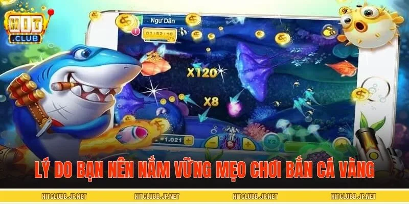 Lý do bạn nên nắm vững mẹo chơi bắn cá vàng trước khi tham gia