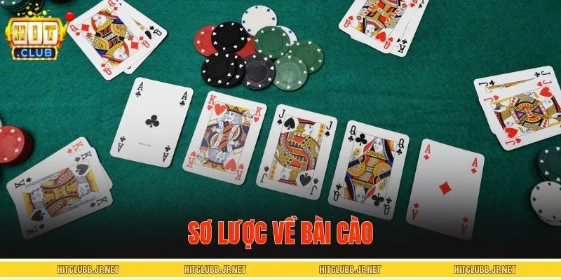 Sơ lược về bài cào